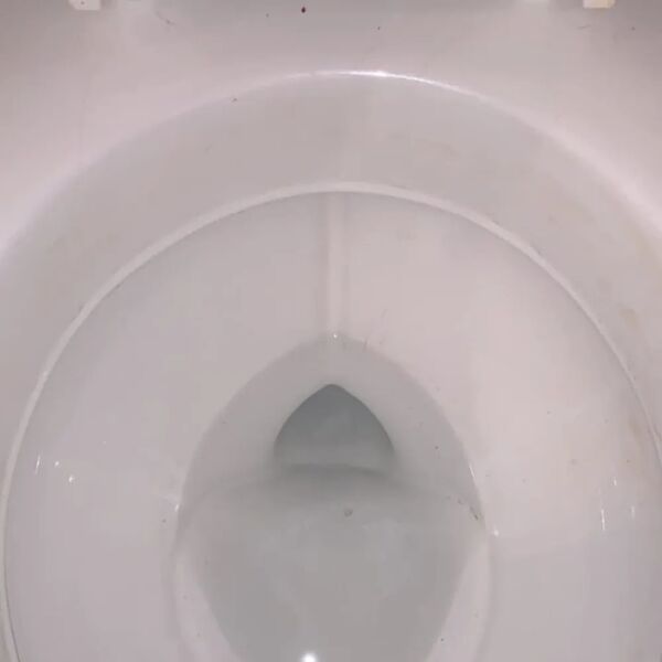 WC po vyčištění